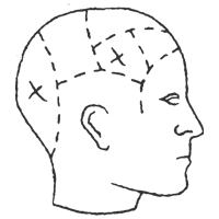 anatomyofmurder.com