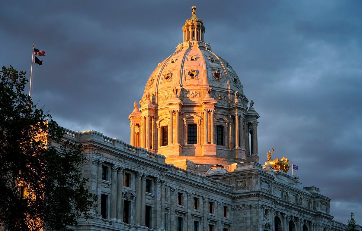 minnesotareformer.com
