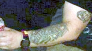 taylor_wade_tattoos.jpg