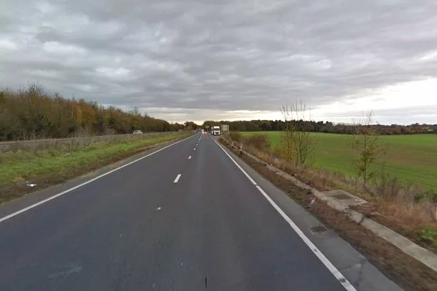 A14-Search.jpg