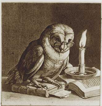 wise+old+owl.jpg