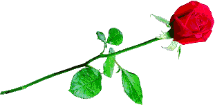 animated-flower-image-0127.gif