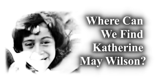 someonesawsomething.ca