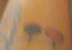 amendolara_lori_tattoo2.jpg