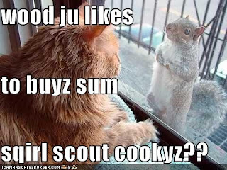 SQIRLSCOUTCOOKYZ.bmp