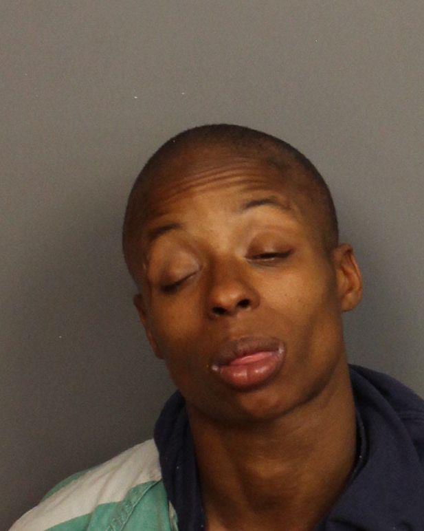 jeffersoncountyal.publicjailrecords.com