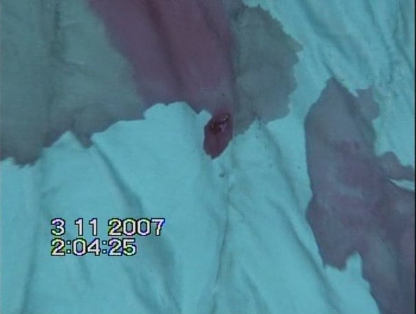 16973_1207134747459_1501399242_30491206_567585_n.jpg