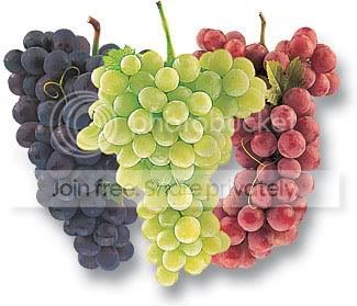 grapes-health.jpg