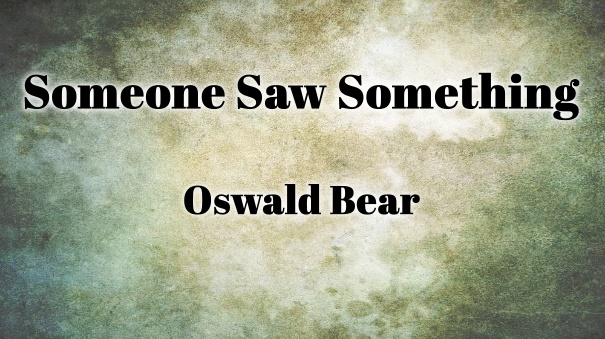 someonesawsomething.ca