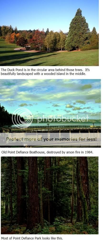 tacomaduckpond1.jpg