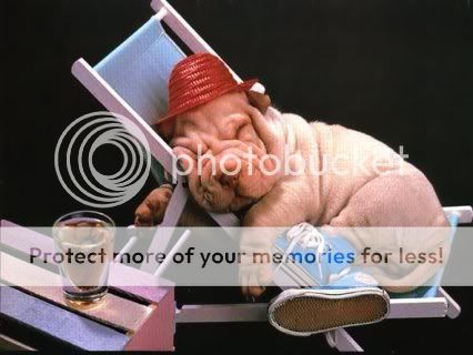 DogSleeping.jpg
