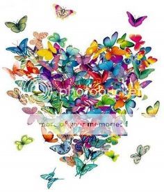 Stephanies%20butterfly_zpsgbwhtsdd.jpg