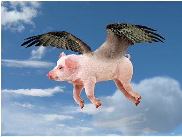 pigs_fly.jpg