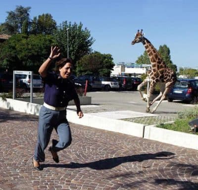 35-giraffe-running-400x384.jpg
