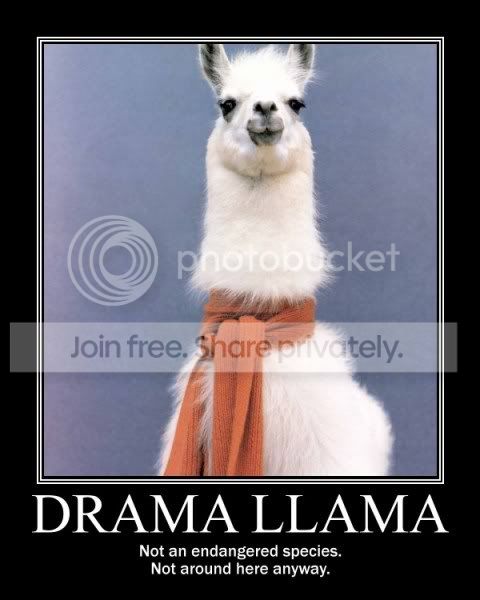 drama-llama.jpg