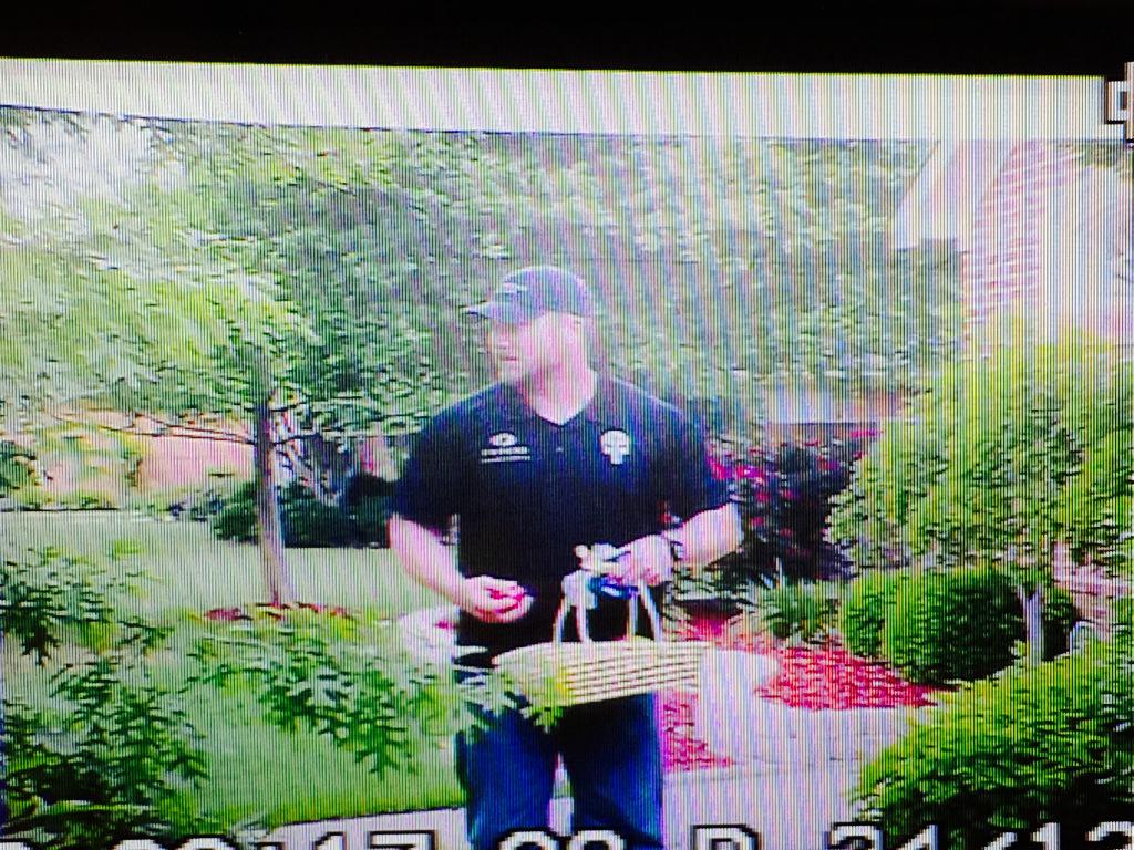 B9lIRpXIQAAMRNb.jpg:large