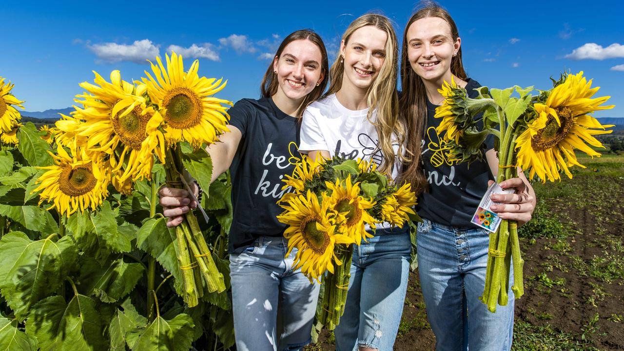 92af6c6704d2d31a4ea4ab1fa043f660