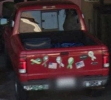 ferguson_carol_truck.jpg