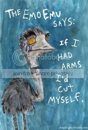 emoemu.jpg