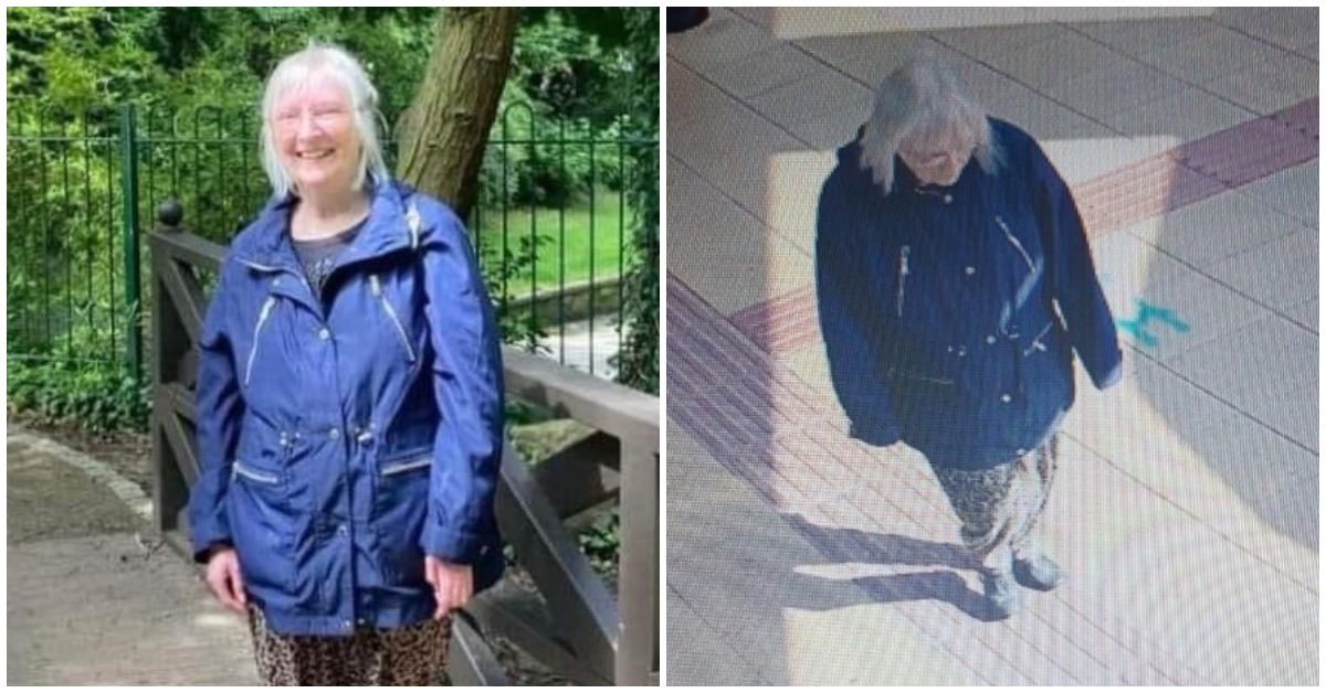 thestrayferret.co.uk