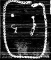 Case Photo