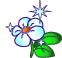 4.gif