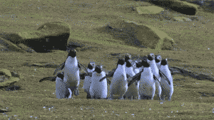 tumblr_mjrqyk5Qq91ql2603o1_400.gif