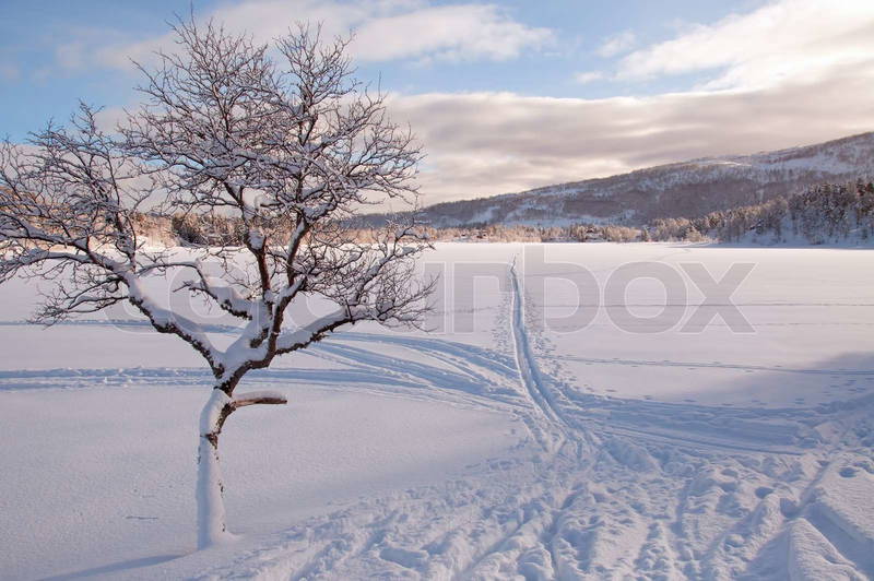 3441740-600704-a-frozen-lake-covered-by-snow-with-ski-track.jpg