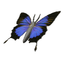 awesome-cute-butterfly-smiley-emoticon.gif