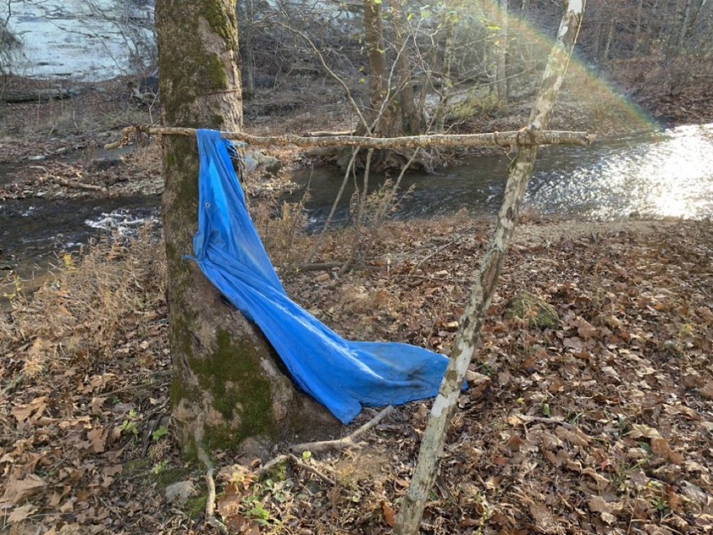 f3a9a7e5-800b-4128-bd3f-f5bd49b07b79-jpeg.272297