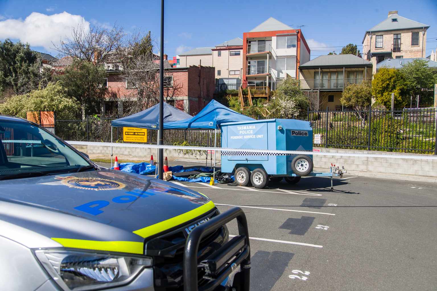 pulsetasmania.com.au