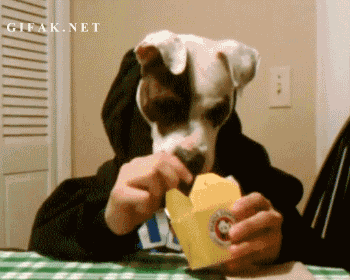 dog+eating+gif.gif