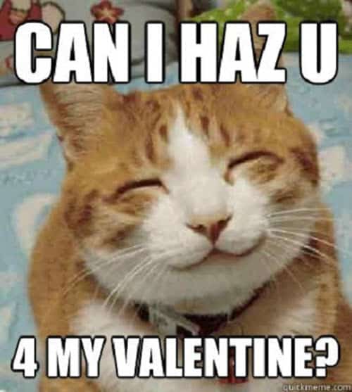 funny-valentines-can-i-haz-u-meme.jpg