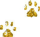 tenor.gif