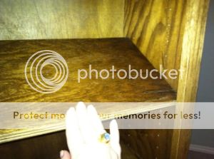 IMG_08891.jpg
