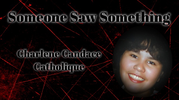 someonesawsomething.ca