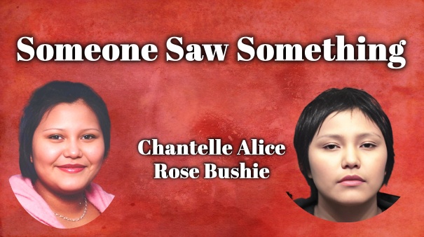 someonesawsomething.ca