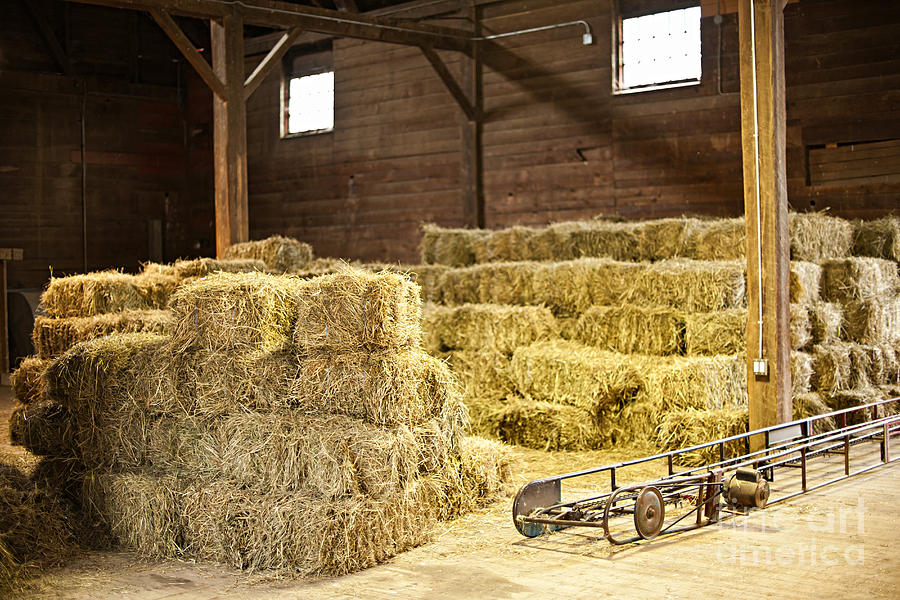 barn-with-hay-bales-elena-elisseeva.jpg