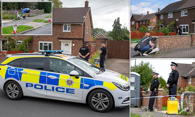 www.dailymail.co.uk