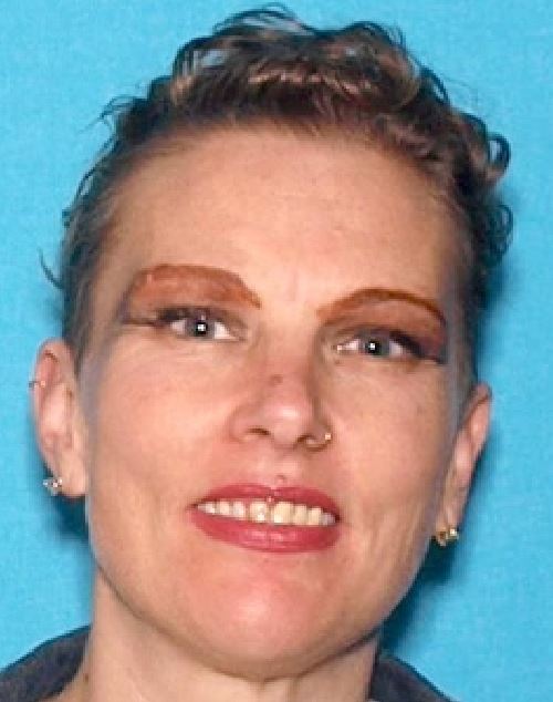 user77513-1677315609-media1