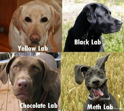 Meth%2BLab.bmp