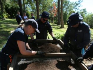 88632b77e8bd347542a260ae47483ae7