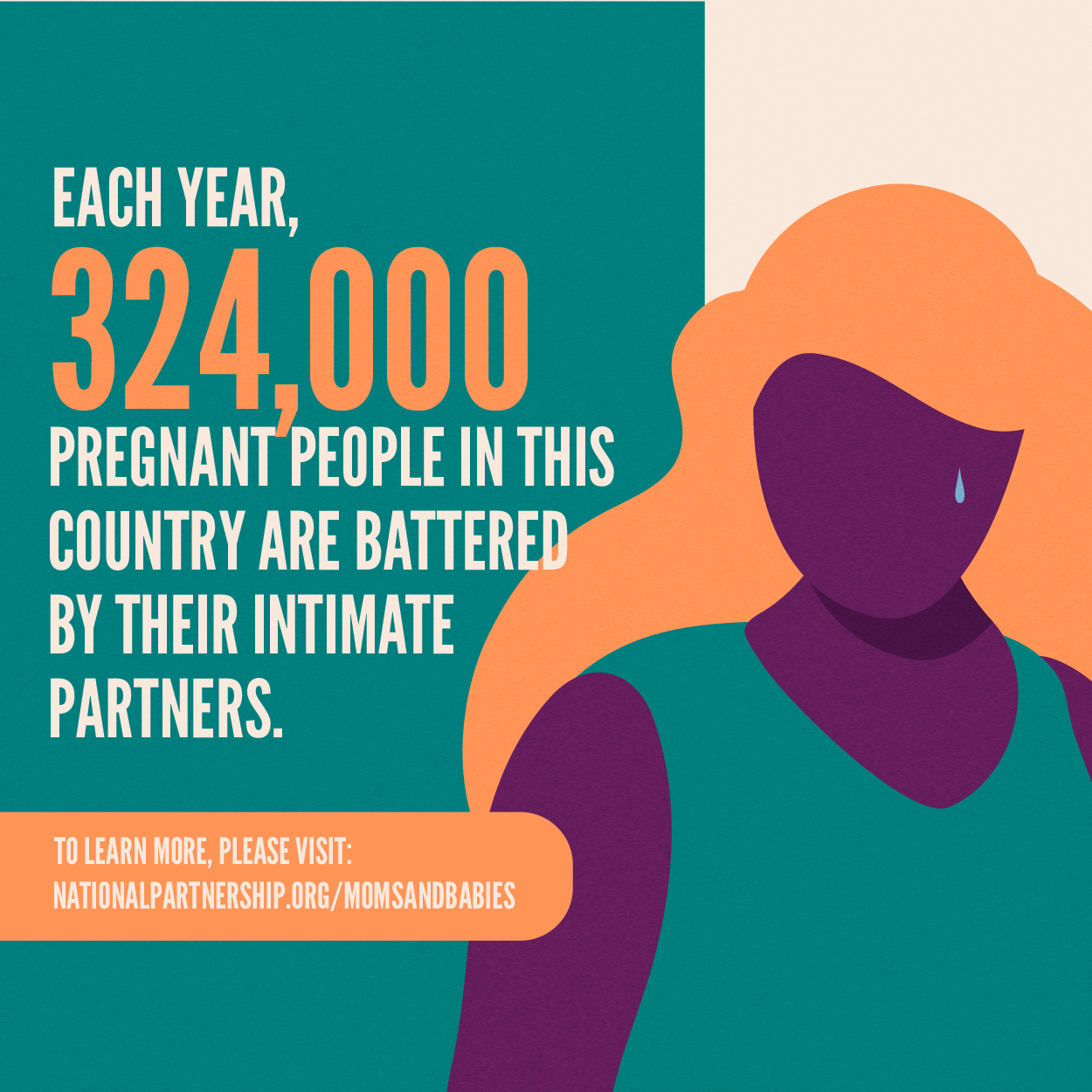 nationalpartnership.org