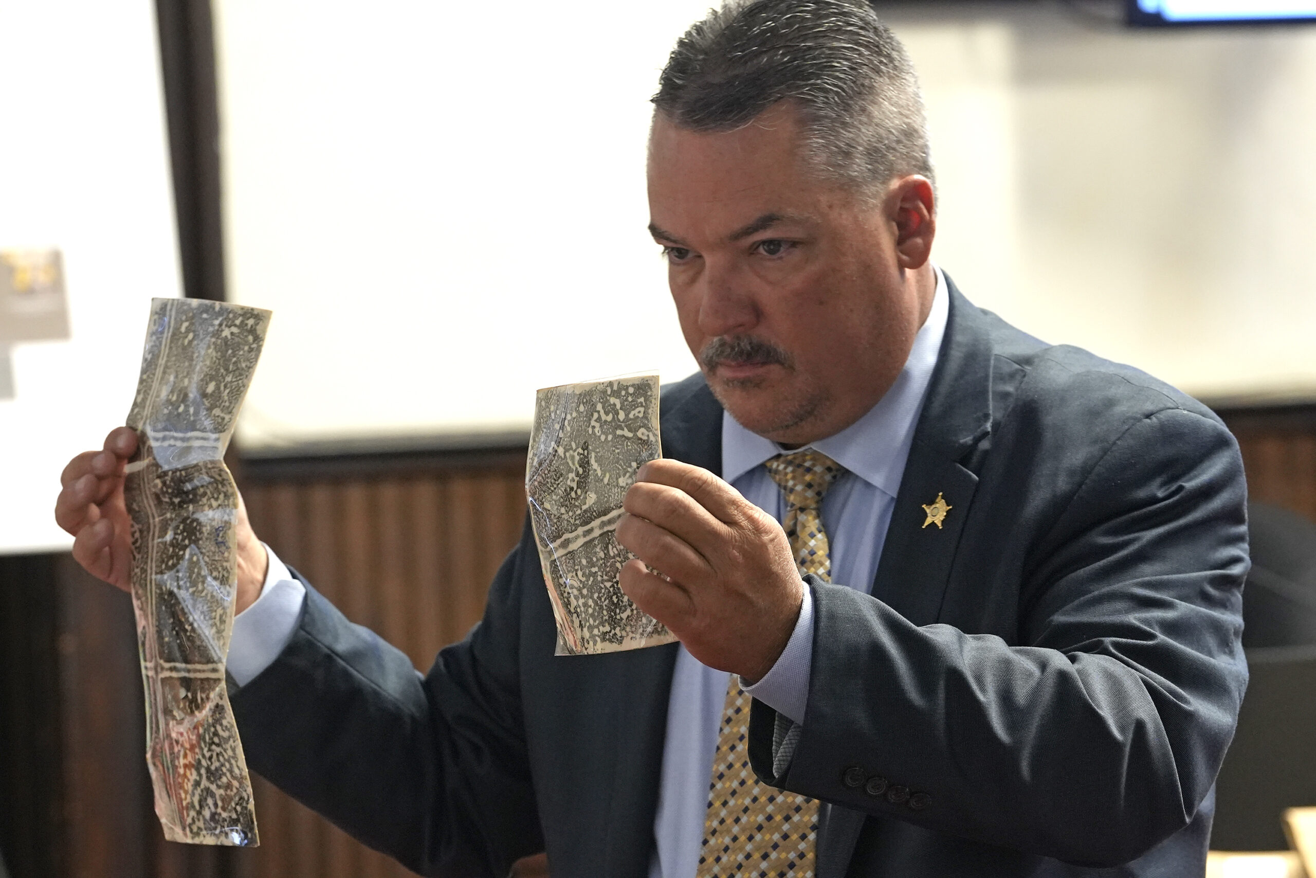 sciotovalleyguardian.com