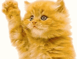 22935.gif