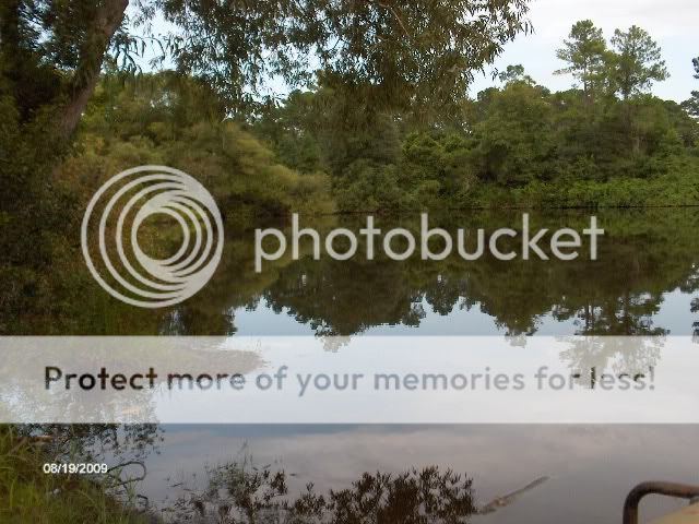 shellpond2.jpg