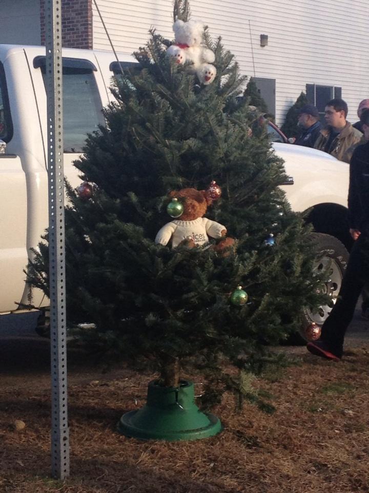 A-LqrOvCIAEWF7-.jpg:large