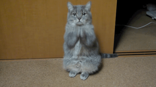 tumblr_mesmp6qbxw1r1zllx.gif