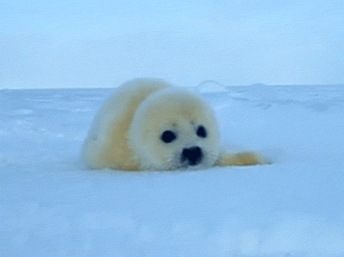 tumblr_mfcyenLudt1s0kxy0o1_500.gif