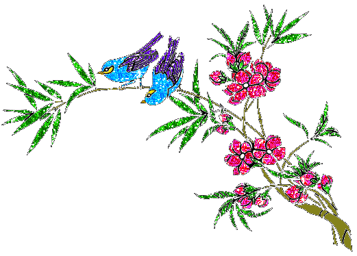 animated-bird-image-0719.gif